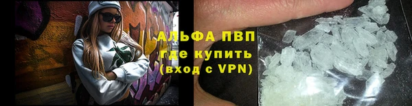 СК Алексин