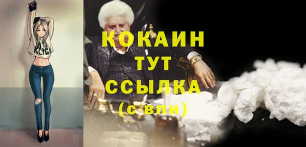 СК Алексин