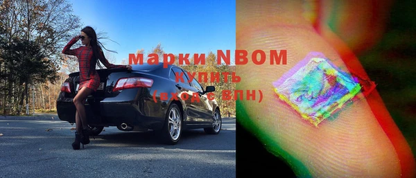 СК Алексин